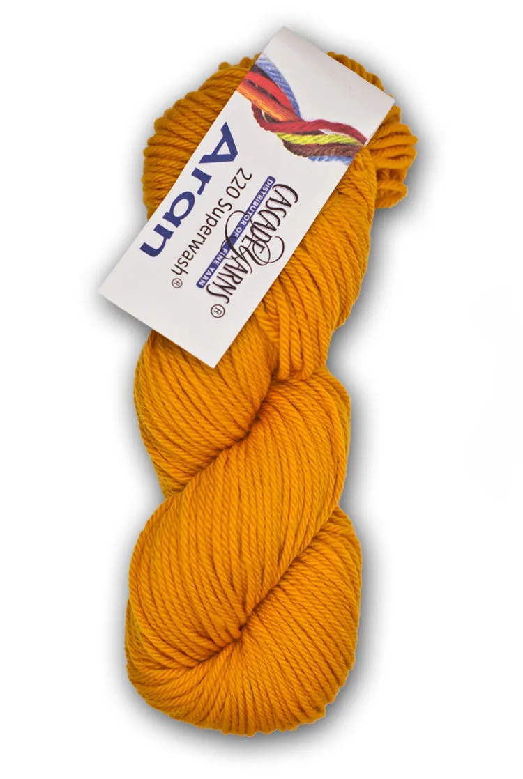 Cascade 220 Superwash Aran Merino
