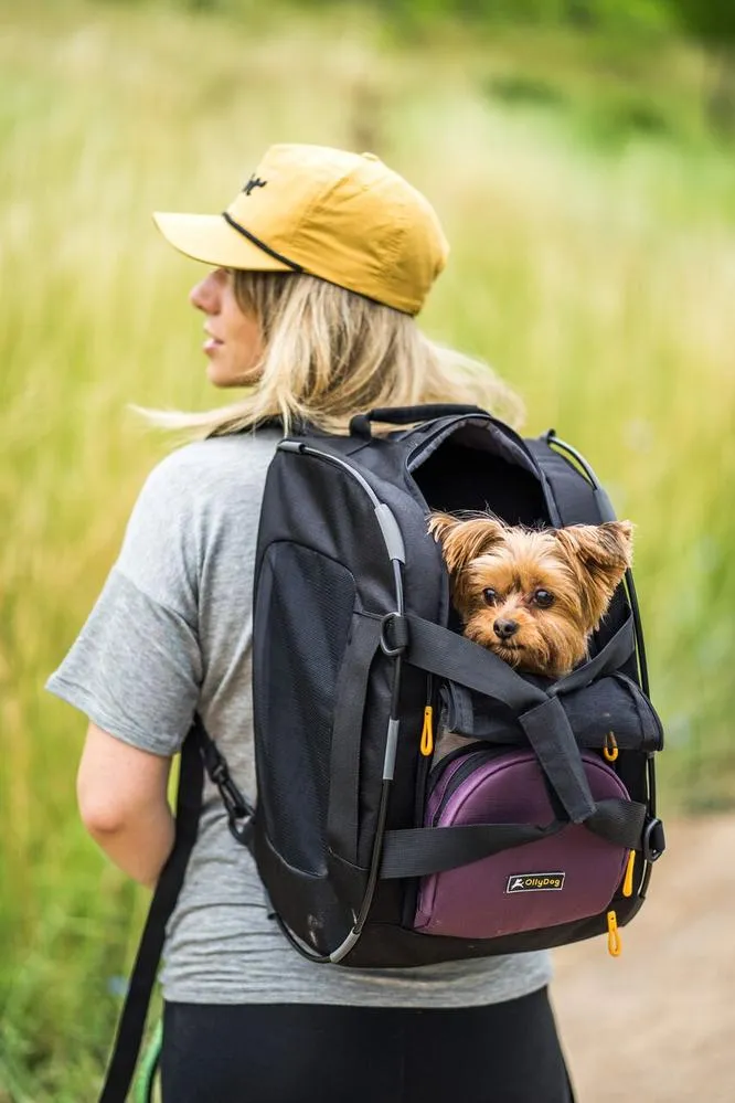 Olly Dog Meridian Dog Carrier  Dahlia