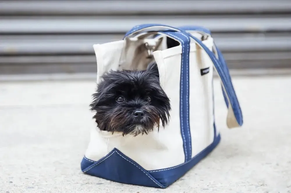 Spring/Summer - Canvas Tote - Open Dog Bag - 5 Color Options
