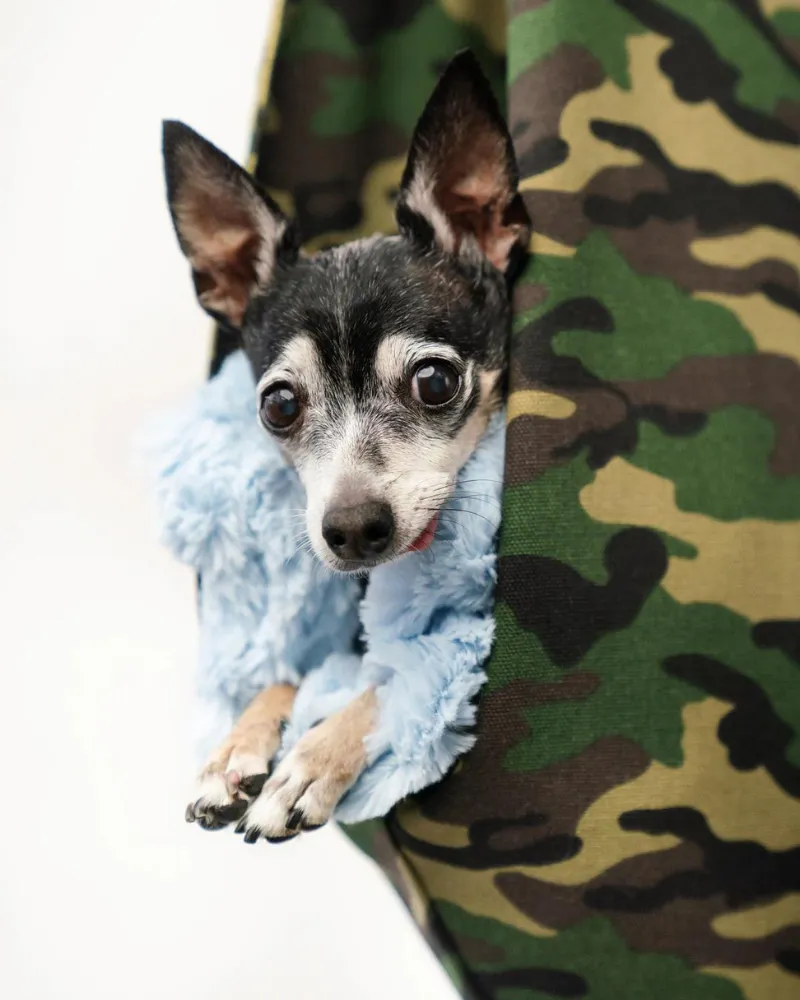 The SNUGGIT Crossbody Dog Sling in Chester Camo (Made in Canada) (FINAL SALE)